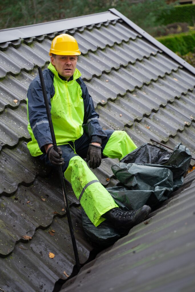 roof cleaning